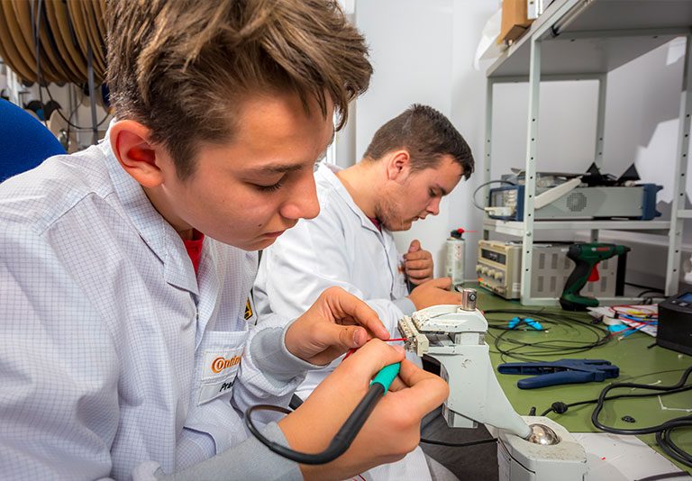 școala duală banat calificări 2